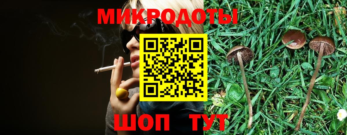 Псилоцибиновые грибы Psilocybe  Вход с VPN  Славянск-на-Кубани 
