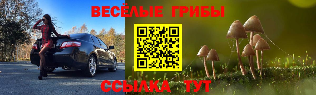 Псилоцибиновые грибы ЛСД Славянск-на-Кубани